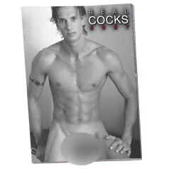   Real Cocks 2027 - ερωτικό ημερολόγιο τοίχου (1 τεμ.)