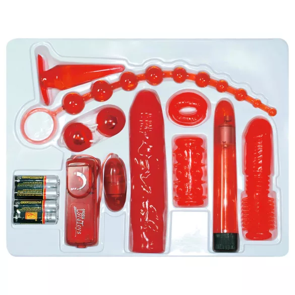 You2Toys - σετ δονητή με κόκκινα τριαντάφυλλα - 9 τεμάχια