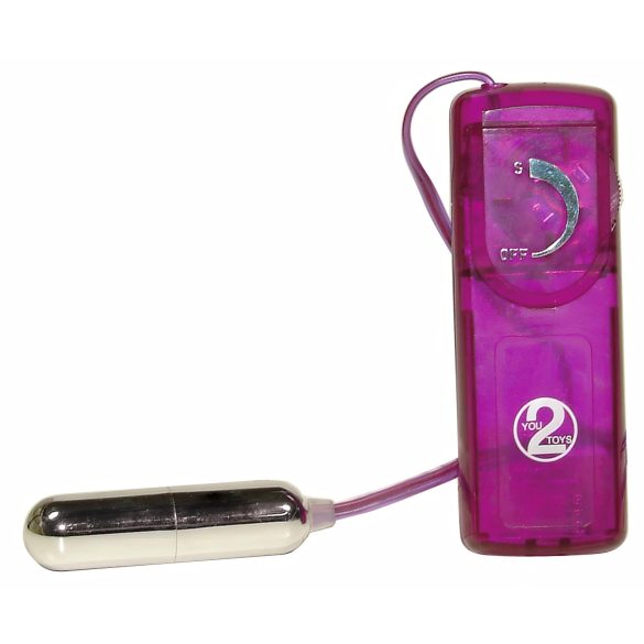 You2Toys - Ερωτικές εκπλήξεις - σετ δονητών (12 τεμάχια)