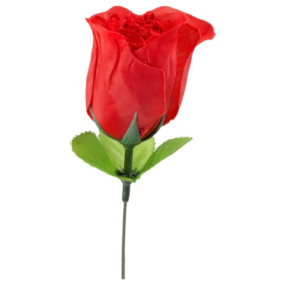 Πανέμορφο κόκκινο τάνγκα σε κόκκινο τριαντάφυλλο (S-L)