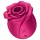 Satisfyer Pro 2 Classic Blossom