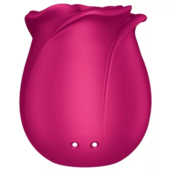 Satisfyer Pro 2 Classic Blossom