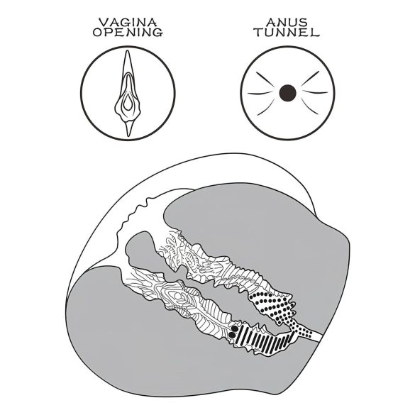 Lovetoy Streetgirl's 12 - τεχνητός κόλπος τορσό - tanga - σκούρο φυσικό χρώμα