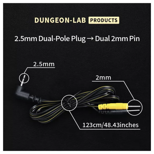 DG-LAB - καλώδιο ηλεκτροδίου από βύσμα jack 2,5 mm σε ακίδες 2 mm (μαύρο)