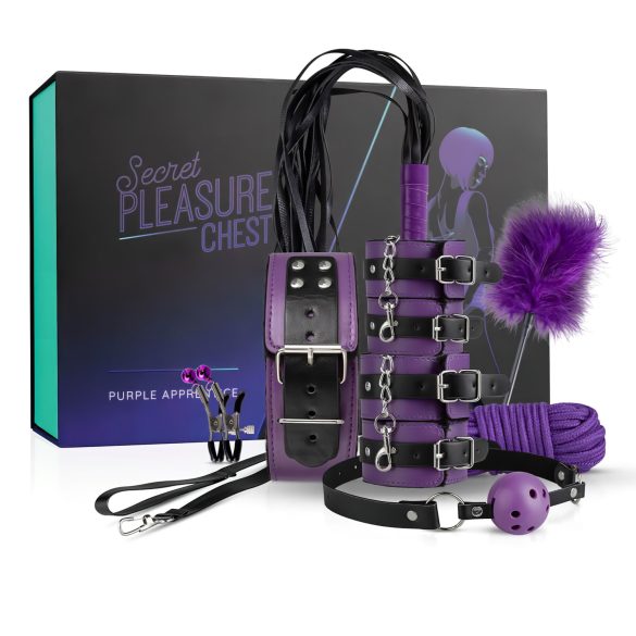 Secret Pleasure Chest - προχωρημένο BDSM κιτ (14 κομμάτια)