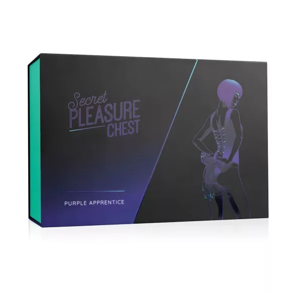 Secret Pleasure Chest - προχωρημένο σετ BDSM (14 τεμαχίων)